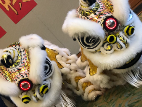 Photograph of two golden dragon puppets