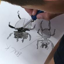 Image of a child drawing bugs