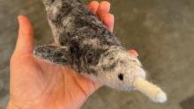 Photo of LeBrie Rich holding a grey and black felted narwhal