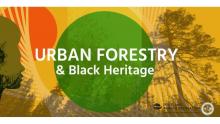 Graphic for Portland Parks and Recreation Urban Forestry and Black Heritage Programs with a green circle and yellow background that have a Black person and tree silhouette.