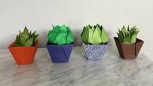 Photo of 4 different origami succulents crafted by Yuki Martin