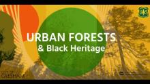 Graphic for Portland Parks and Recreation Urban Forestry program for Black Heritage Month with the City of Gresham logo