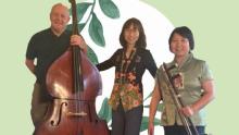 Photo of three members of Hearts Strings Mandarin Trio holding different instruments and smiling with green framing in the background.