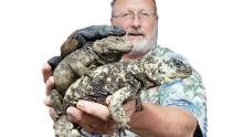 Photo of 3 reptiles stacked and held by Oregon Reptile Man