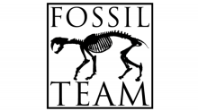 Logo for The Fossil Team in black on a white background