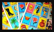 Photo of different graphics on cards for Loteria