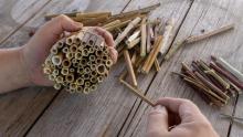 Photo of a person's hands building a bee hotel with natural materials on a wooden table.