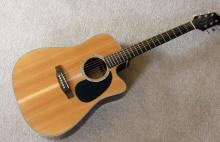 picture of an acoustic guitar