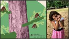 Image of a tree next to a photo of a child holding a pinecone and the Portland Parks and Recreation logo